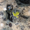 Dove Keychain