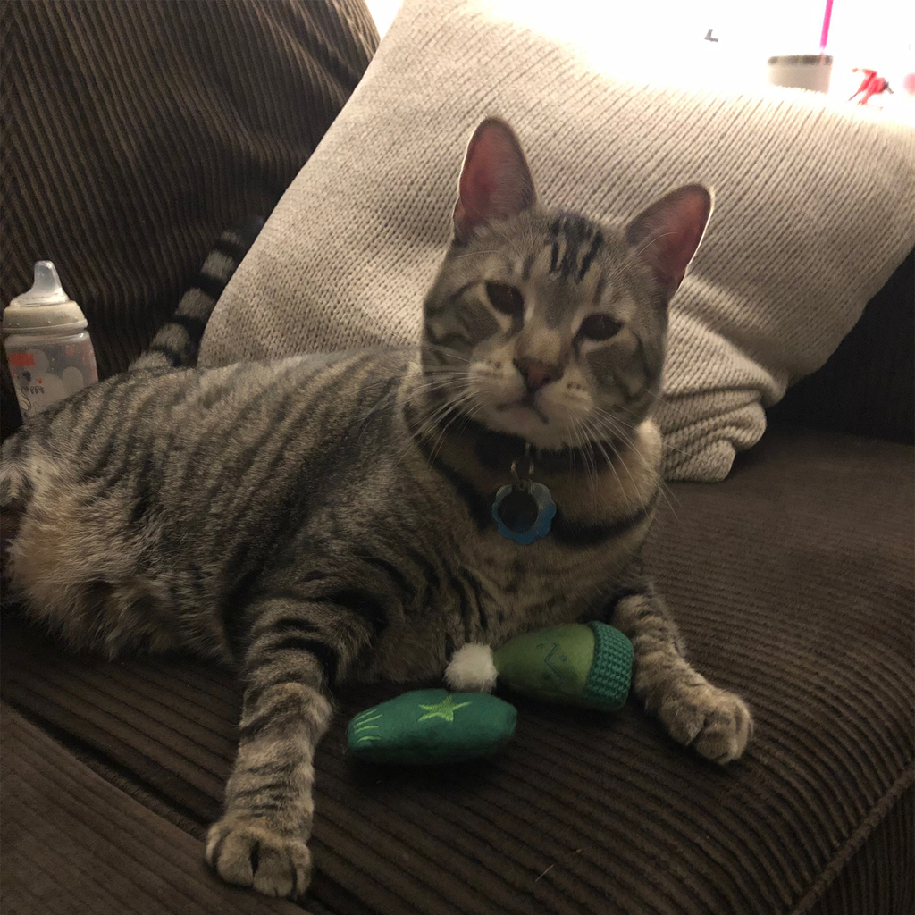 Custom Pet Portrait Fidget Clicker